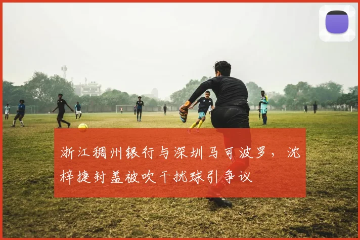 浙江稠州银行与深圳马可波罗,沈梓捷封盖被吹干扰球引争议